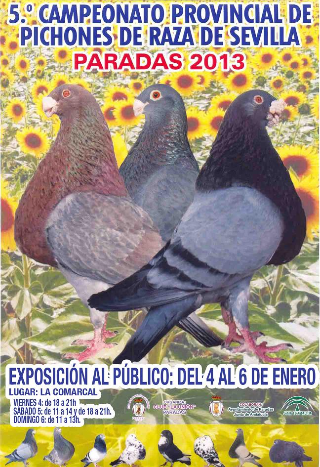 CAMPEONATO PICHONES 2013