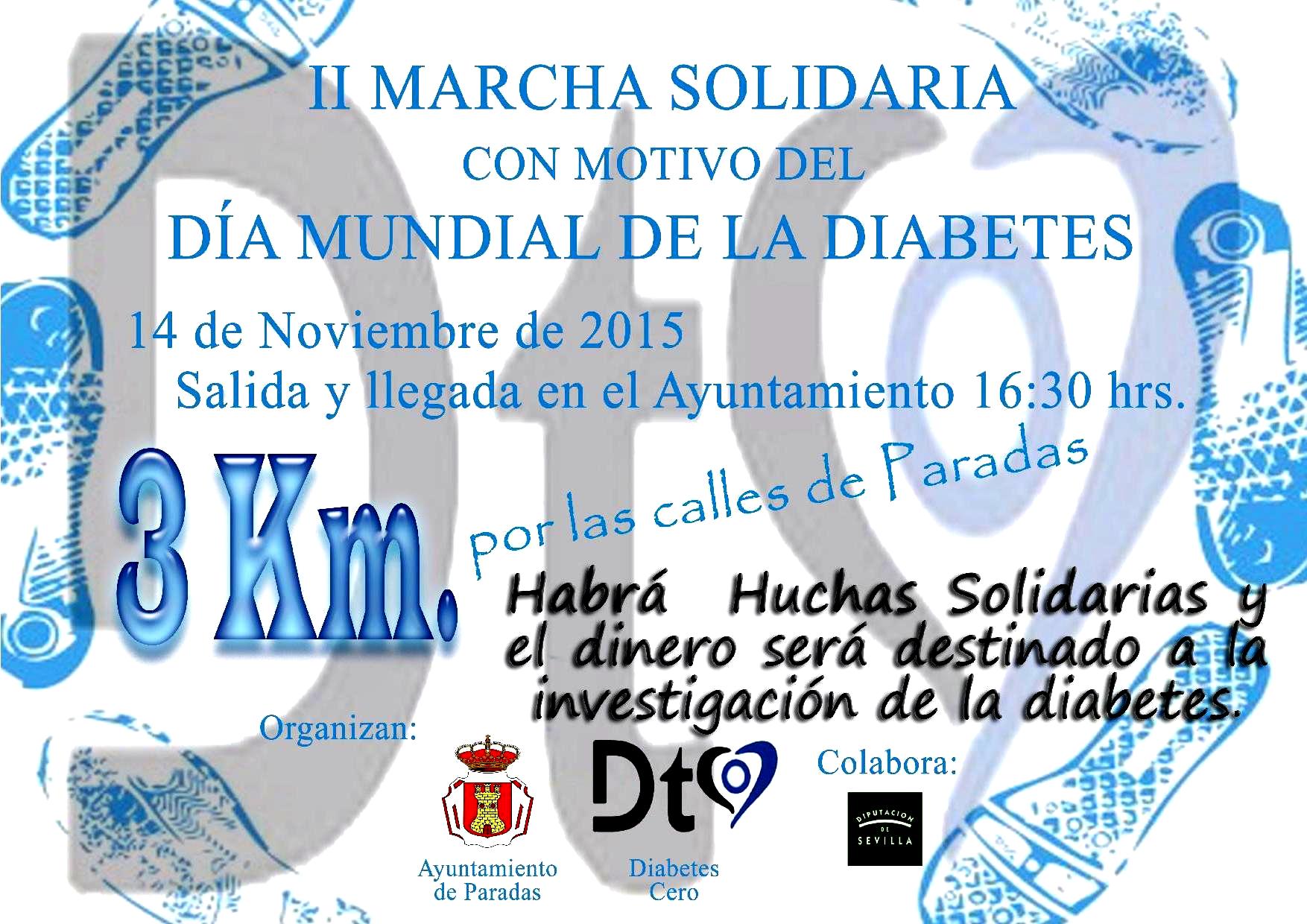 II Marcha Diabetes 2015
