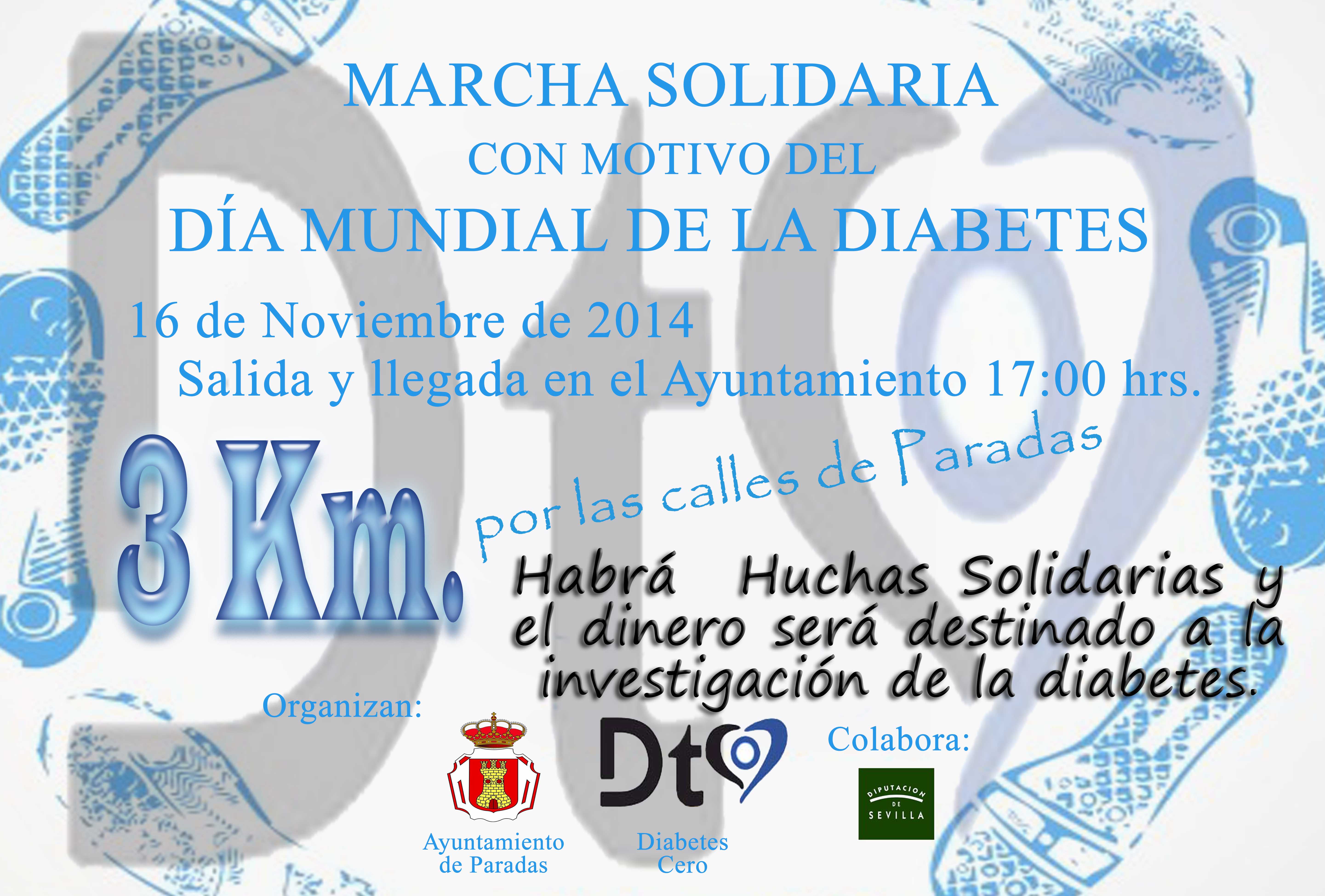 Marcha Solidaria Diabetes 2014