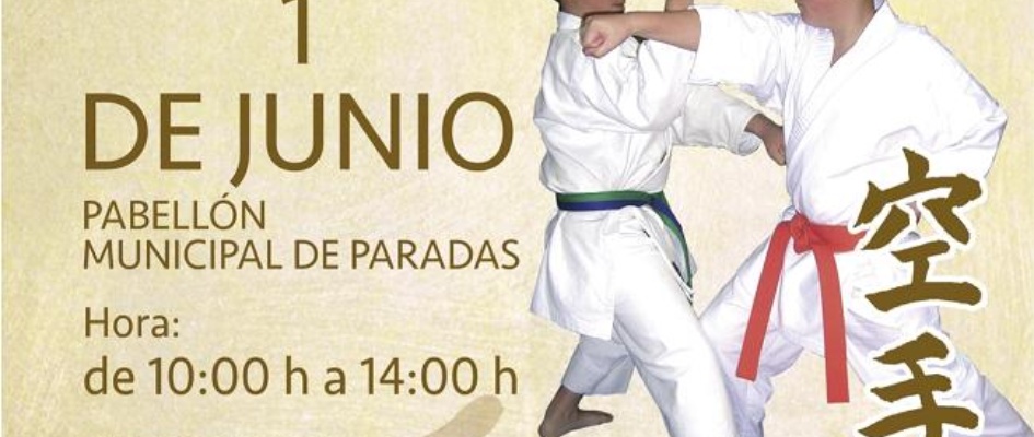 Campeonato Karate infantil 2014