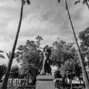 1º Premio JORGE BASCÓN PASTORA (Serie Una Mirada desde Abajo) 2