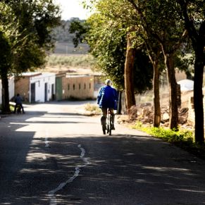 3º Premio Mª TERESA CASTRO LEBRÓN (Serie Raíces) 3