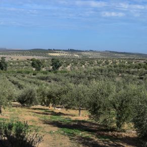 Premio Infantil HUGO SERRANO VERA (Serie Naturaleza) 1