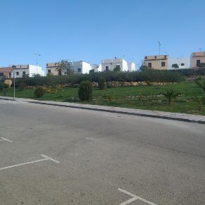 Camino de Albero Enfrente del Campo de Fútbol1