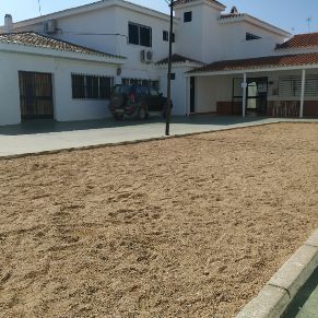 Petanca Hogar del Pensionista