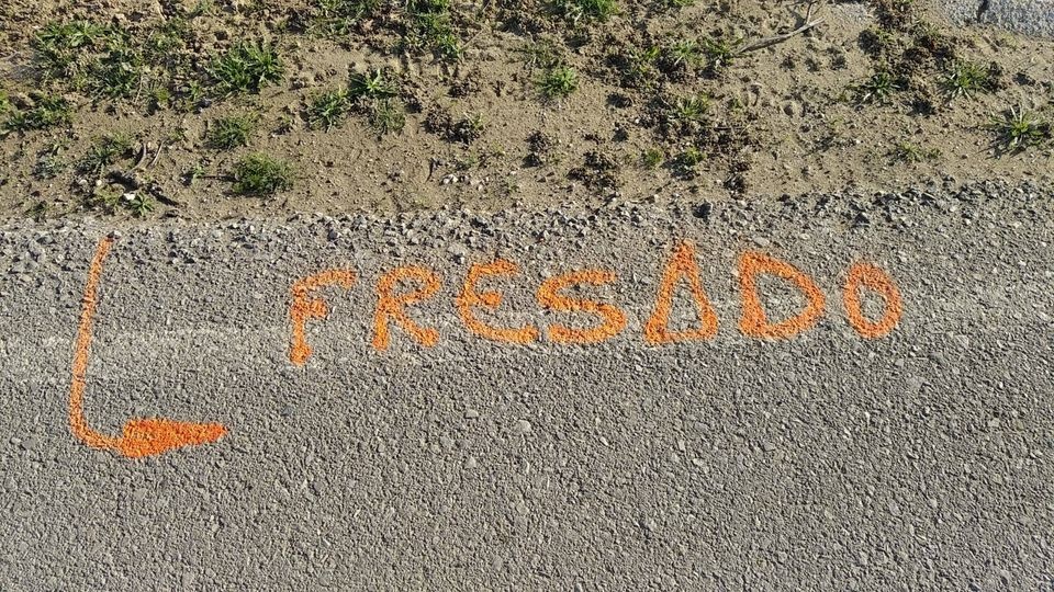 Carretera El Palomar 2