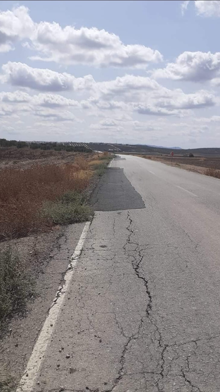 Carretera El Palomar