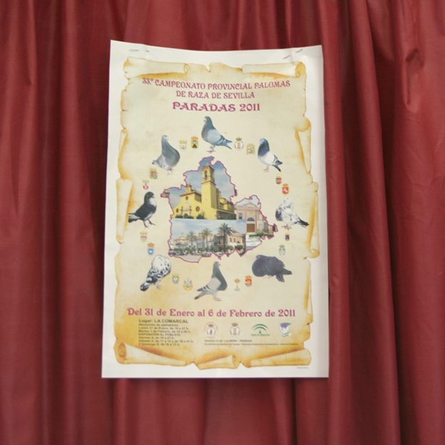 2011-02-06-Palomas-02