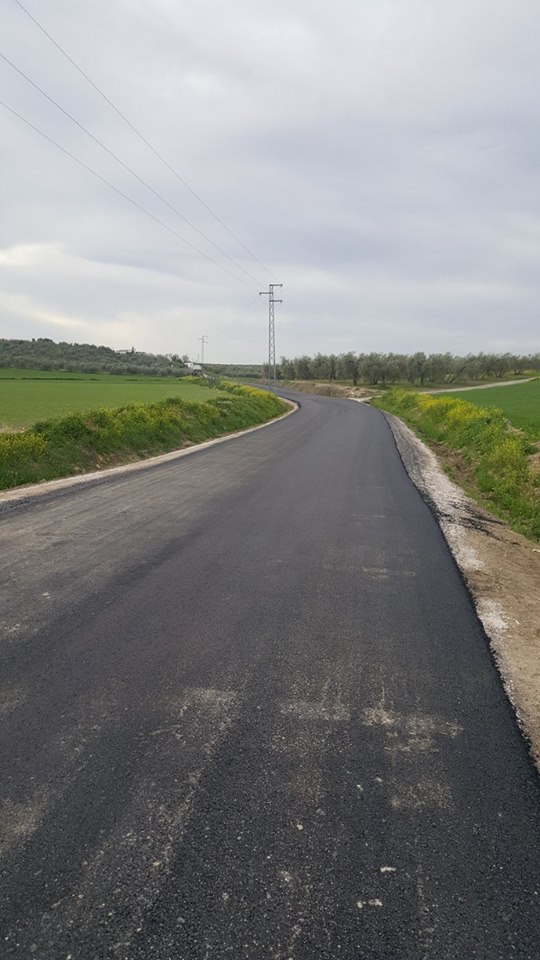 Alquitranado Camino de Birrete 2