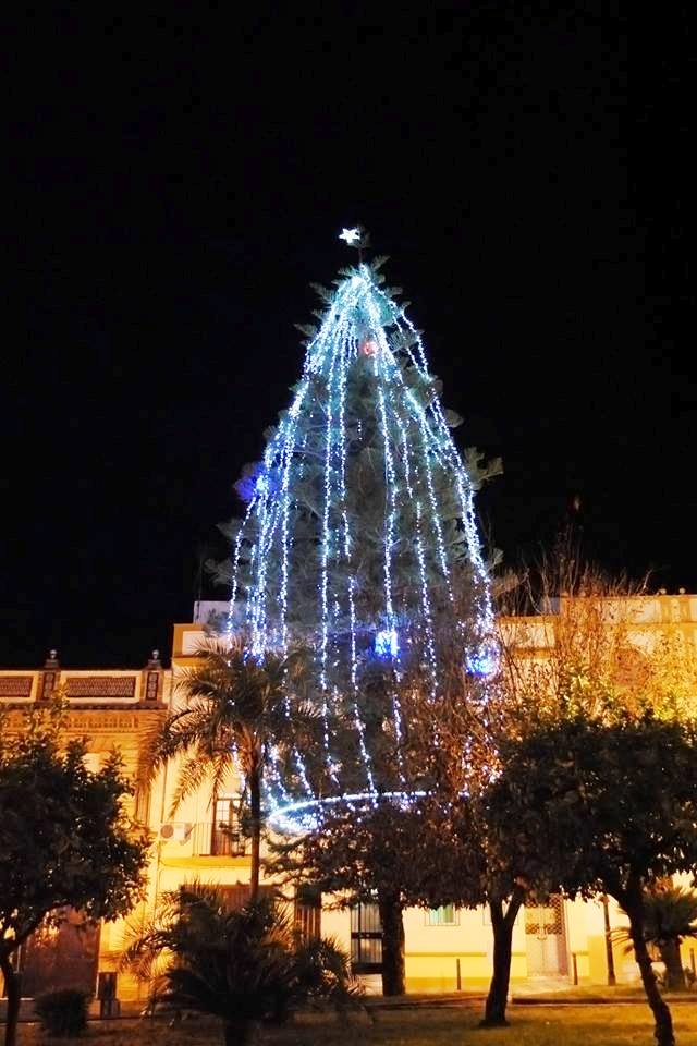 Alumbrado Navidad 2017 10