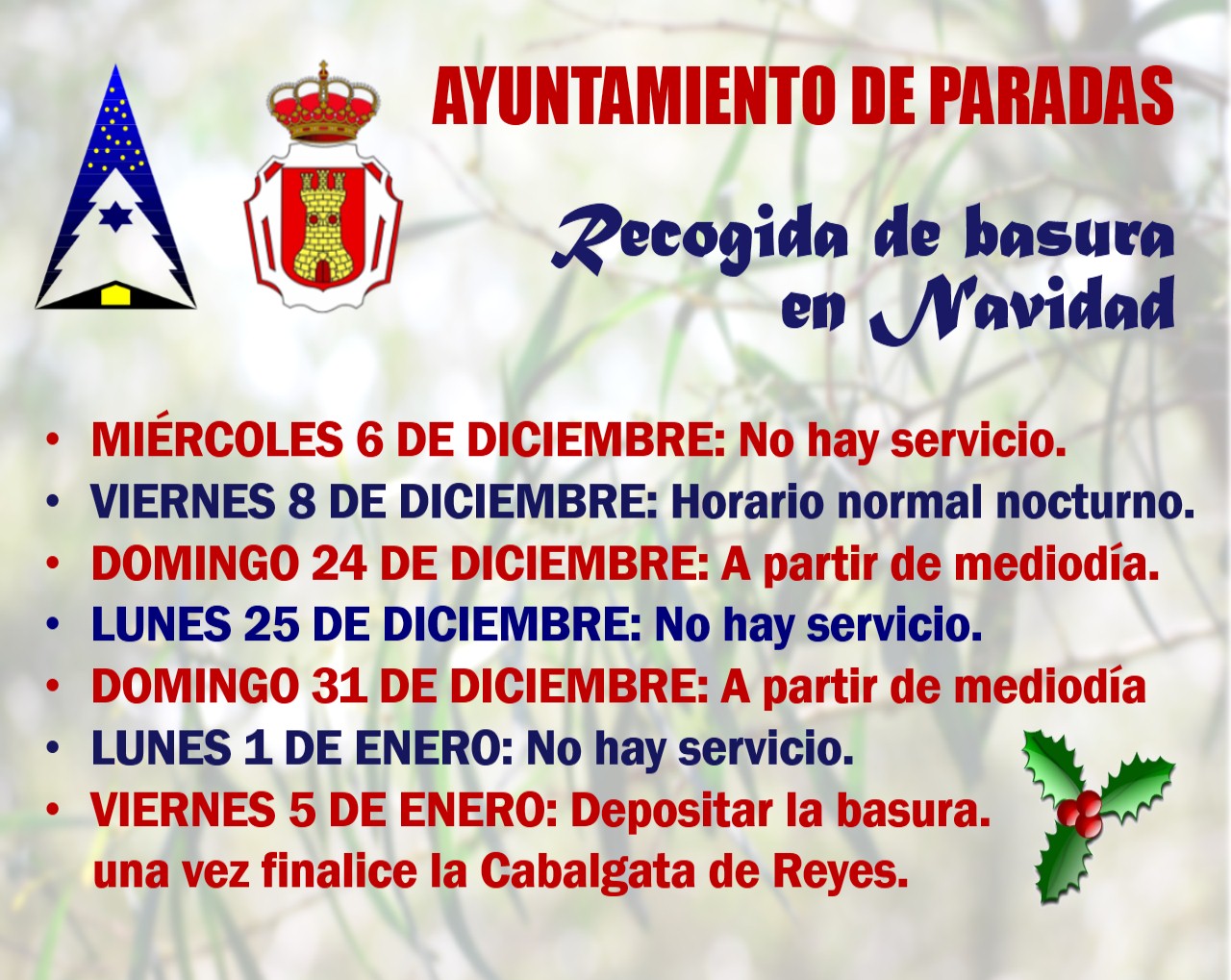Basura Navidad 2017