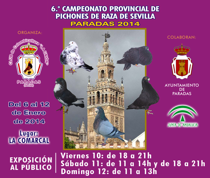 CAMPEONATO PROVINCIAL PICHONES 2014
