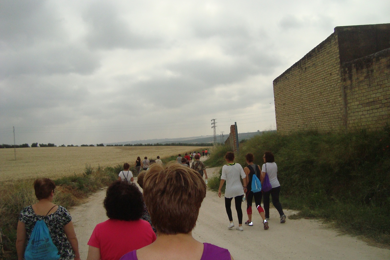 Camina por tu salud 1