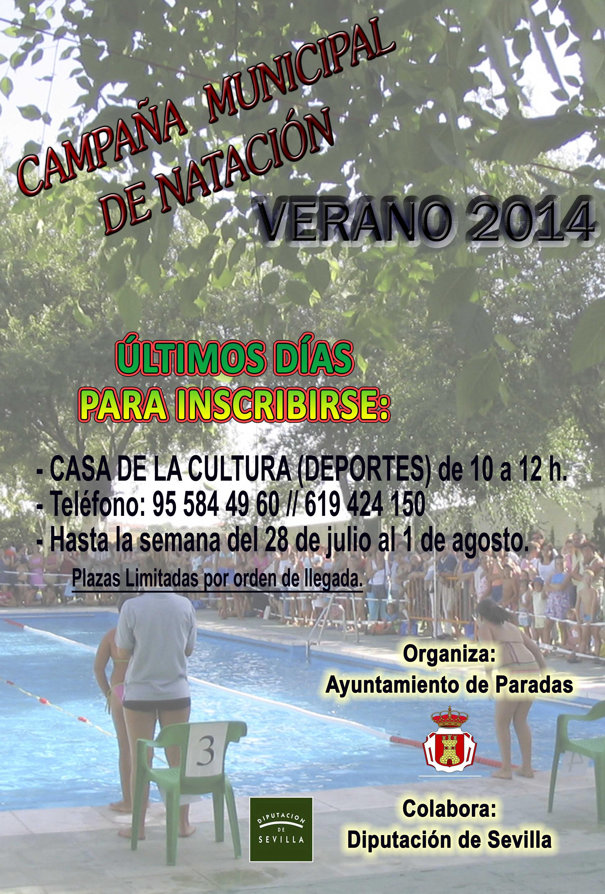 Cartel Piscina 2014 últimos días