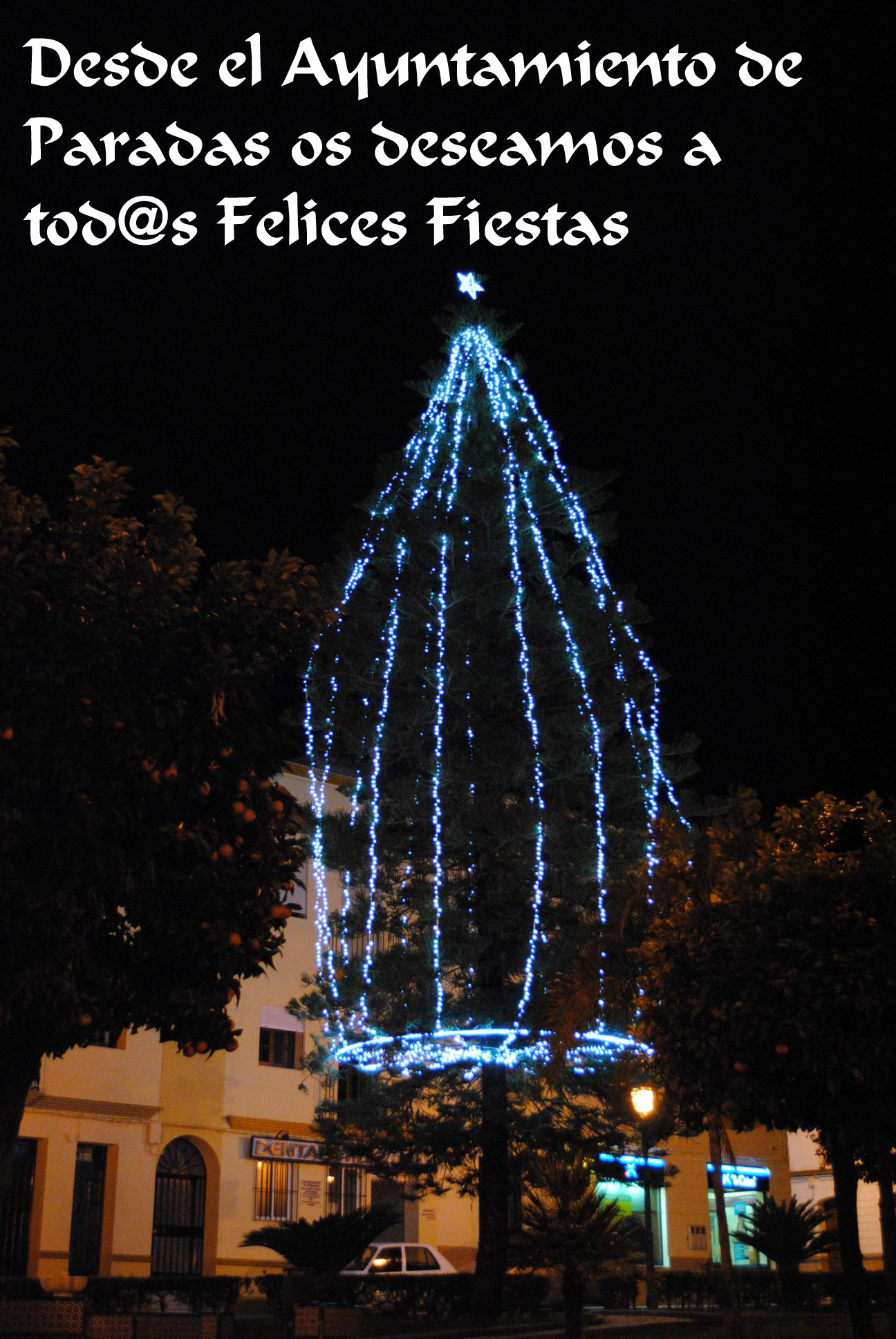 Navidad20132014