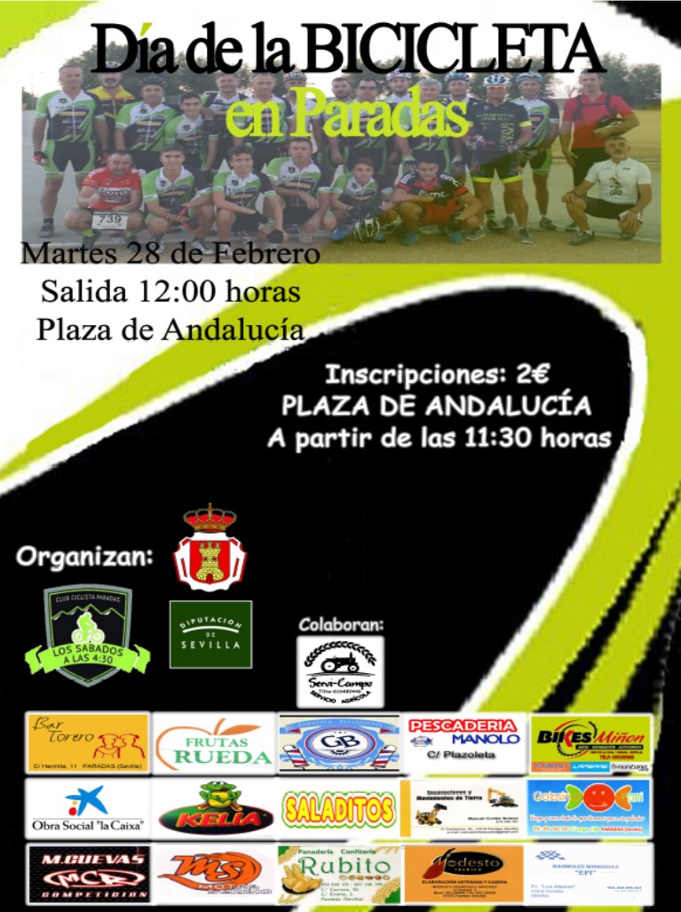 Día Bicicleta 2017