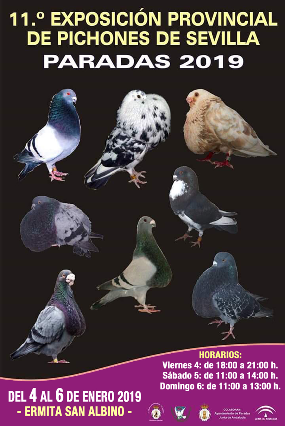 Exposición Palomos 2019