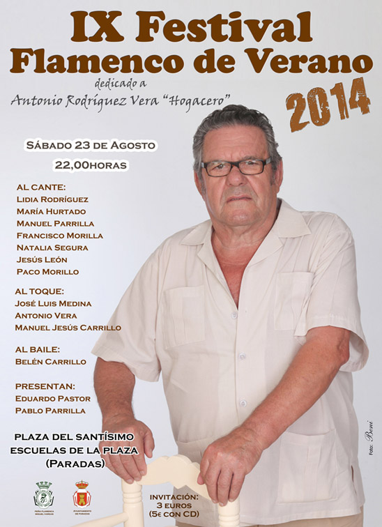 IX Festival de Verano 2014v2