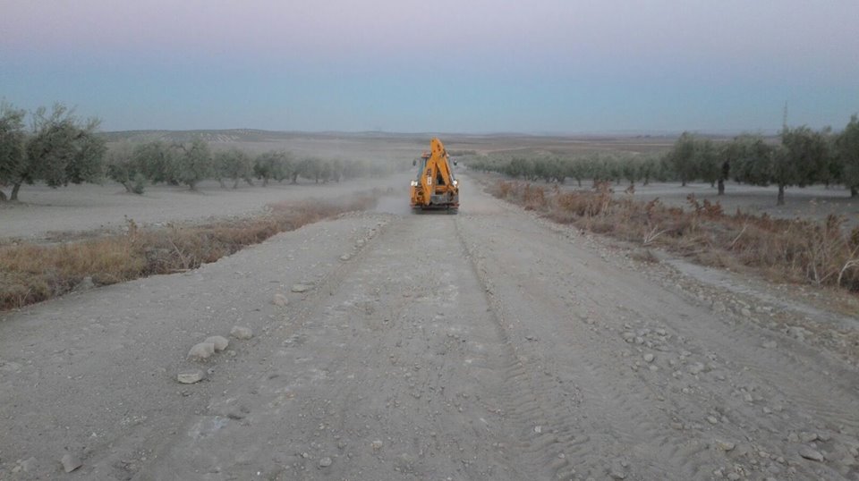 Limpieza caminos verdeo 1