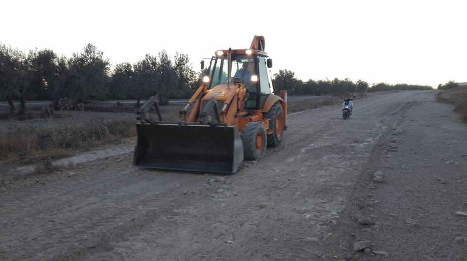 Limpieza caminos verdeo 2