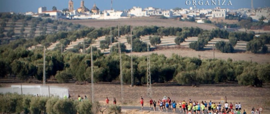 MEDIA_MARATON_2012.jpg