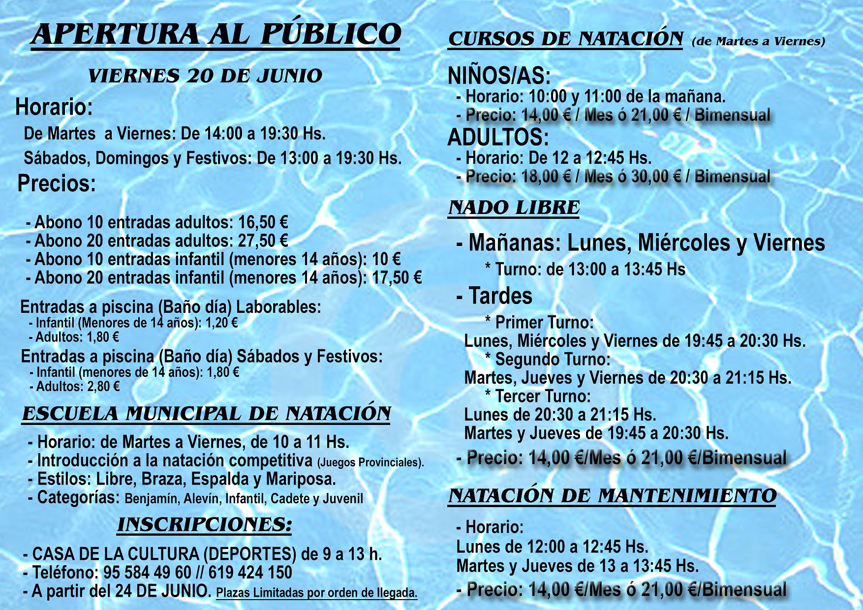Natacion 2014 (Cursos)