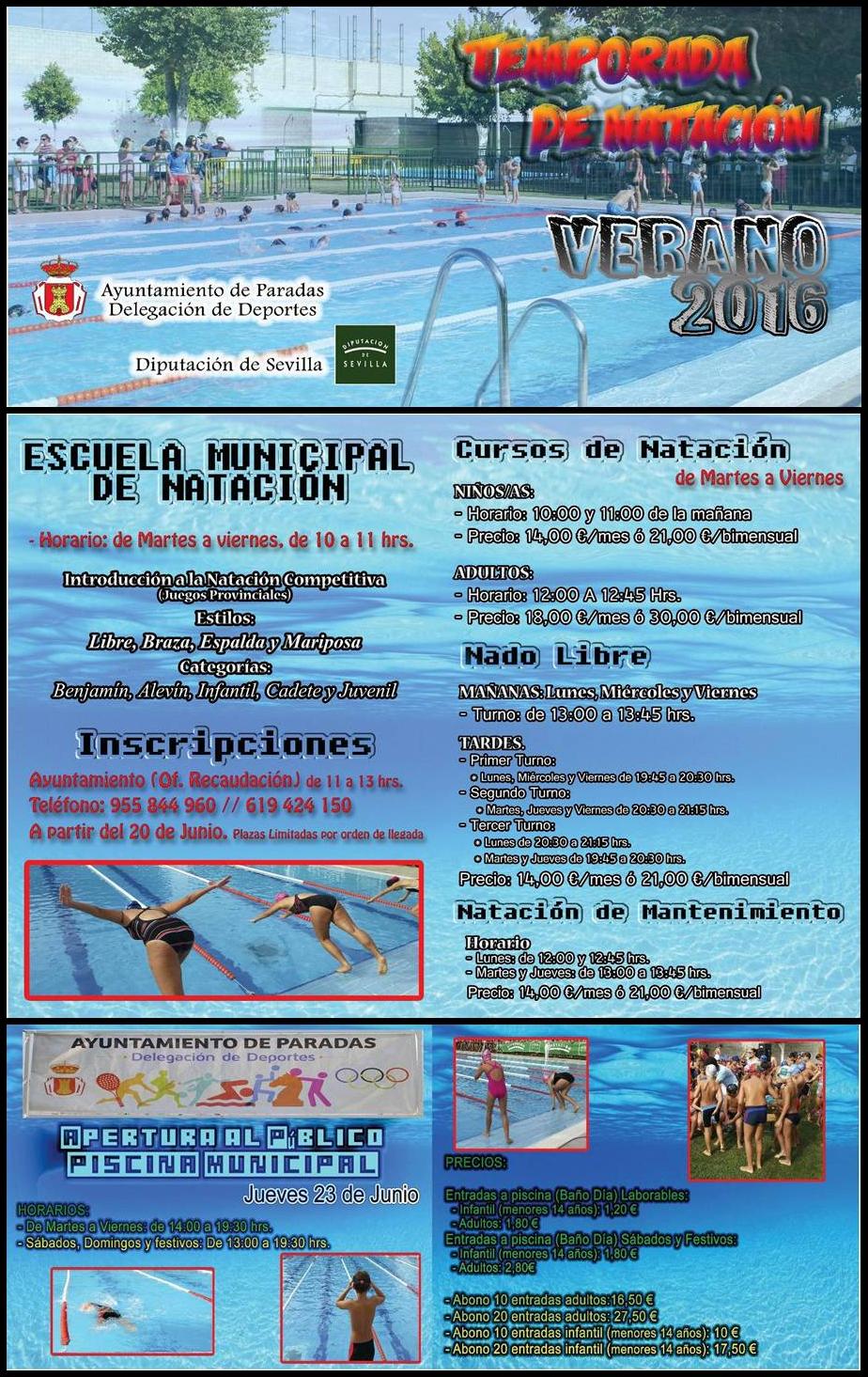 Natacion 2016