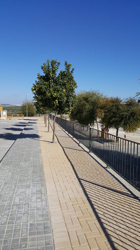 Obra Lagunetas y Diamantino 3