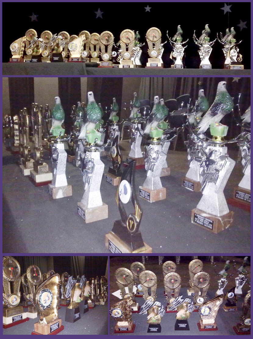PICHONES_2013_TROFEOS.jpg