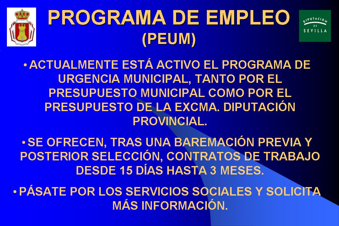 PROGRAMA DE EMPLEO 2019