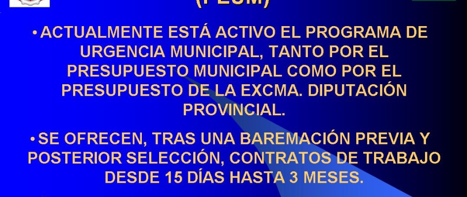 PROGRAMA_DE_EMPLEO_2019.jpg