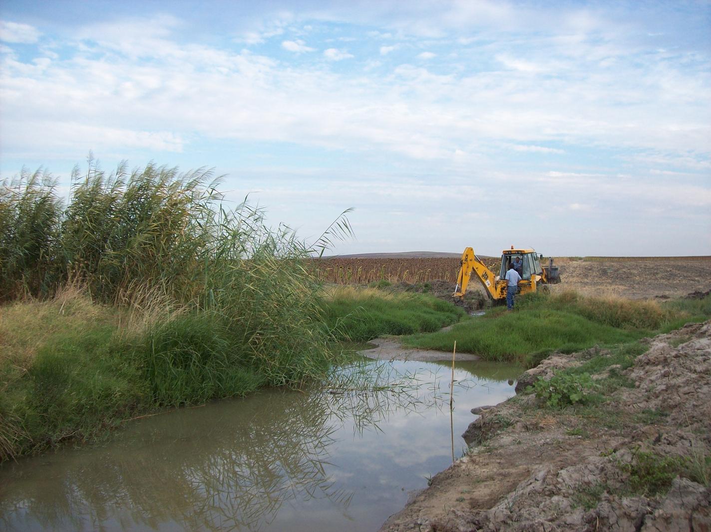 Padron de las lobas (1) ch