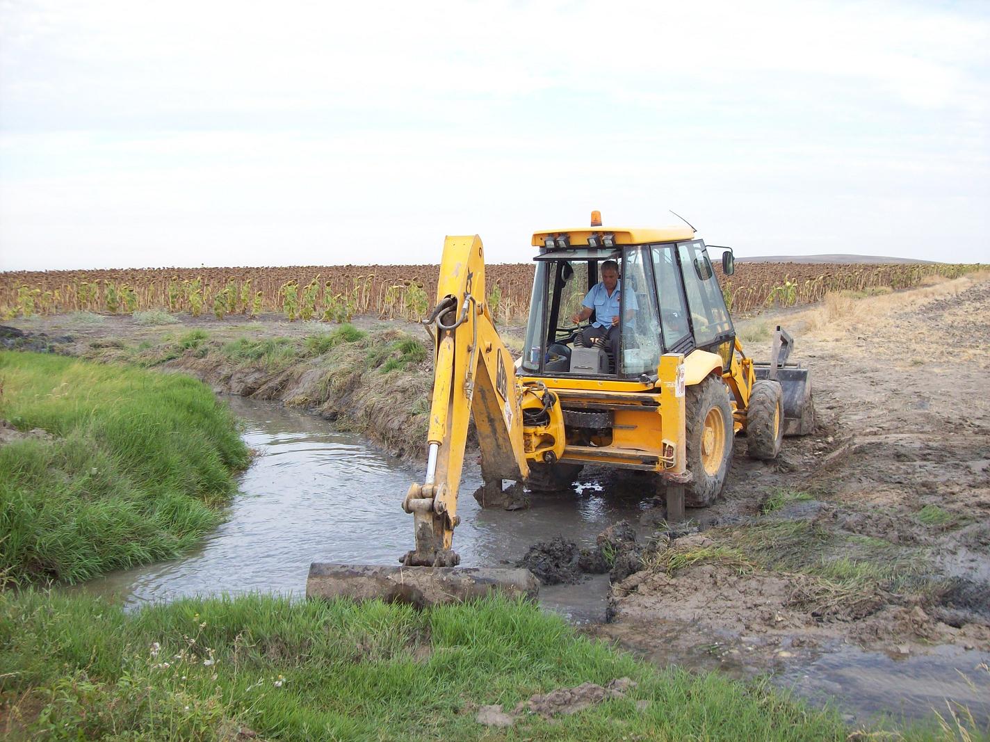 Padron de las lobas (3)ch