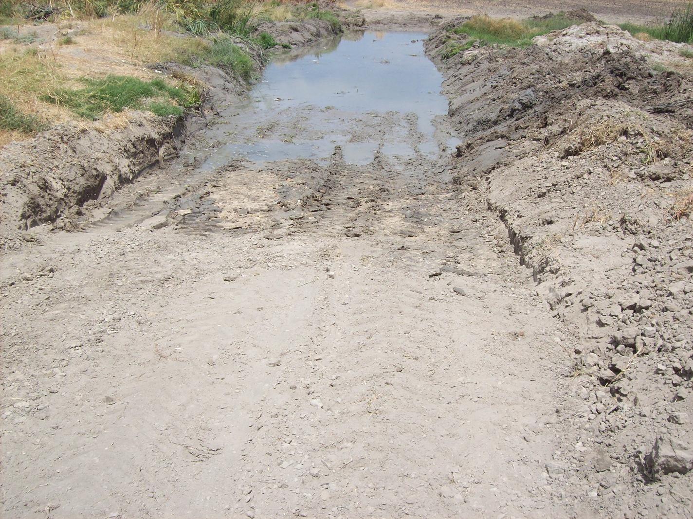 Padron de las lobas (7) ch