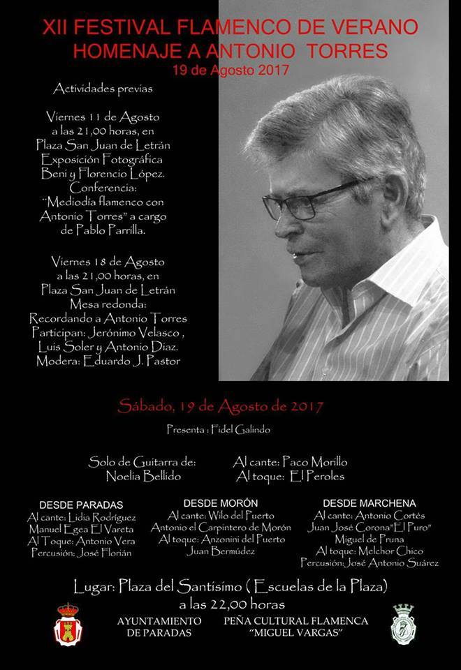 XII Festival Flamenco de Verano